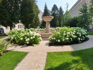 Read more about the article Dziedziniec Ministerstwo Rolnictwa