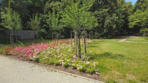 Read more about the article Park Sowińskiego
