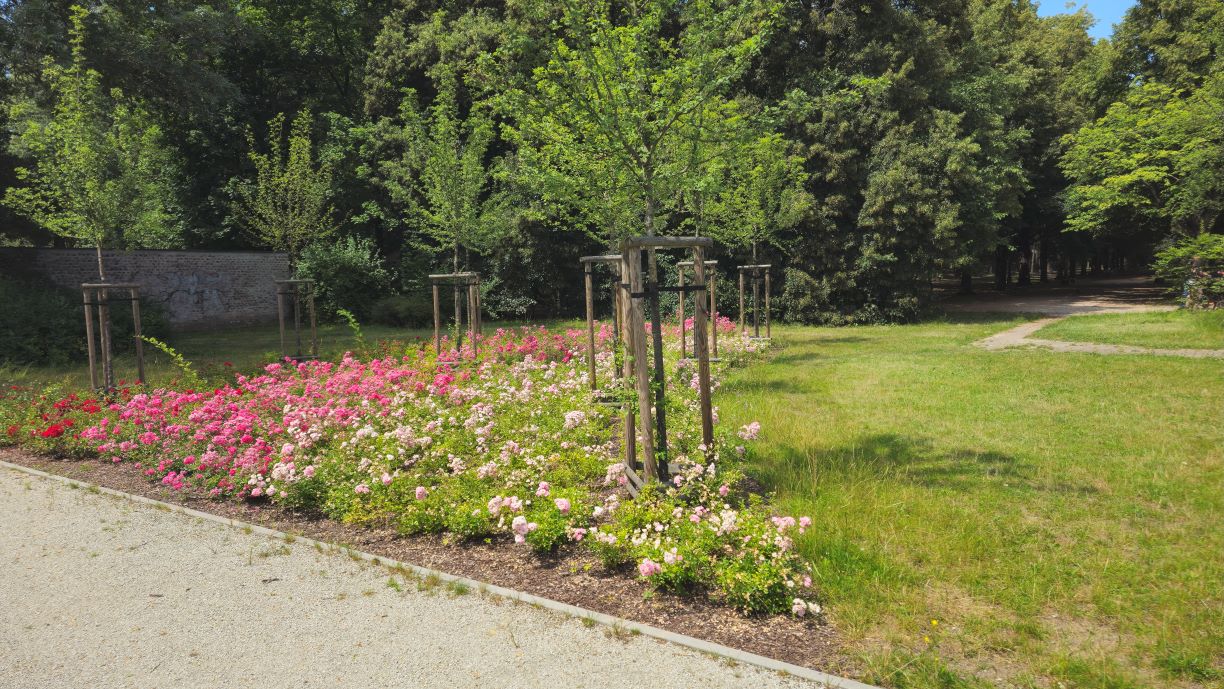Park Sowińskiego