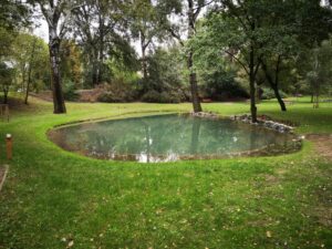 Read more about the article Staw Park Kaskada Żoliborz