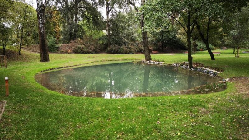 Staw Park Kaskada Żoliborz